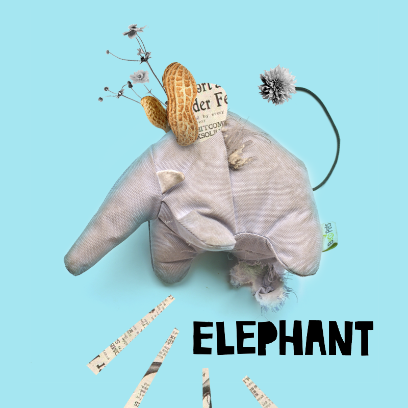03_Elephant