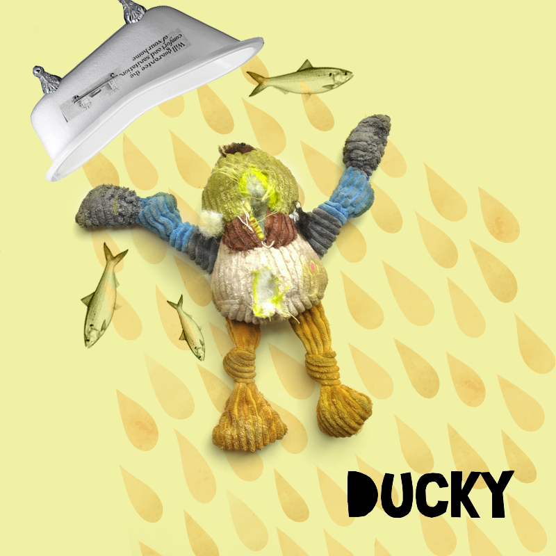04_Ducky